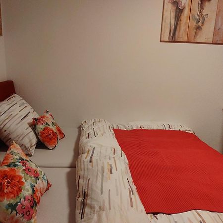 Appartement T3 Proche De Bale แซ็ง-ลุยส์ ภายนอก รูปภาพ