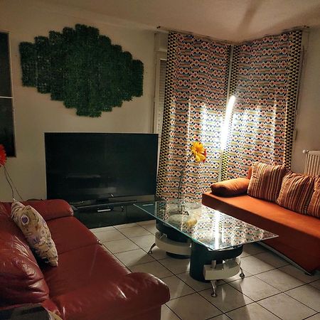 Appartement T3 Proche De Bale แซ็ง-ลุยส์ ภายนอก รูปภาพ